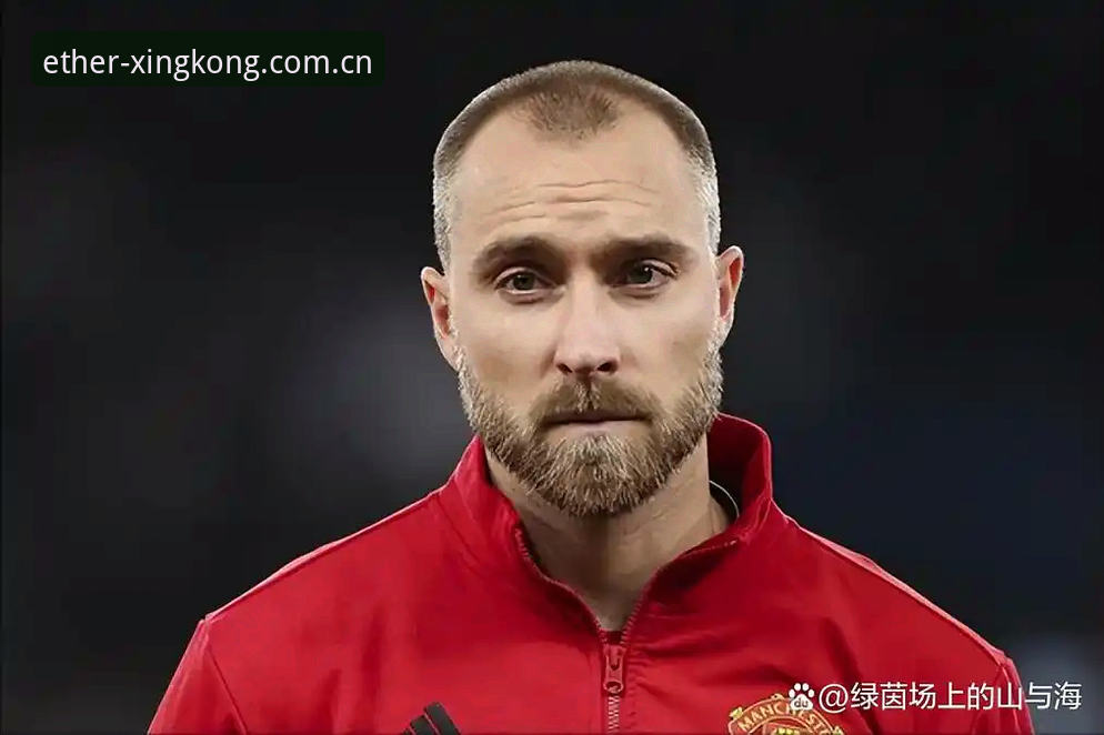 星空EAQC唯美宇宙最新版 埃里克森再次倒下:从心脏除颤器到34岁的职业生命,一次数据分析与星空EAQC唯美宇宙最新版体验评测